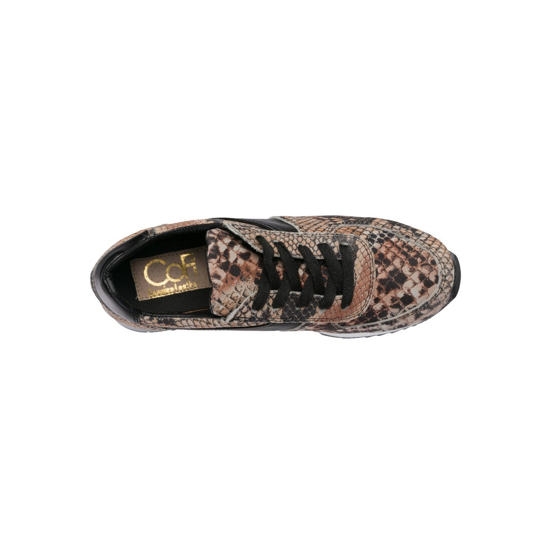 Holly Fashion Sneakers: Snake